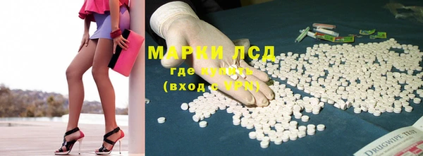 хмурый Арсеньев