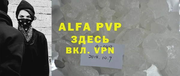 хмурый Арсеньев