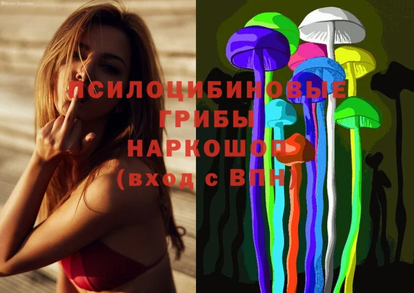 хмурый Арсеньев